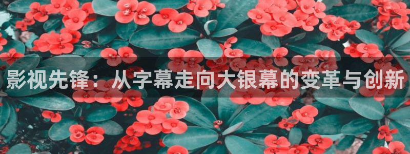 保利中环影城今日电影：影视先锋：从字幕走向大银幕的变革与创新