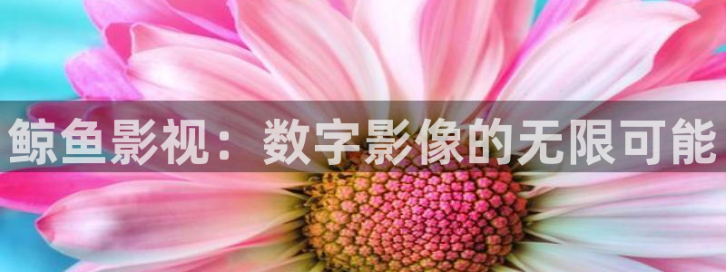张浦保利国际影城：鲸鱼影视：数字影像的无限可能