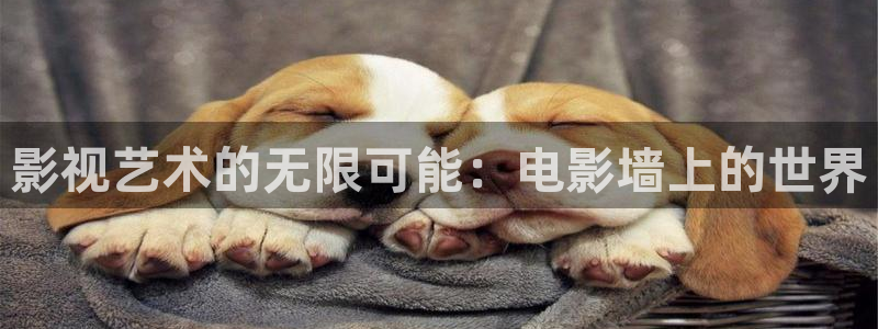 上海保利云间剧场：影视艺术的无限可能：电影墙上的世界