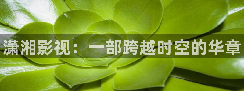 上海保利云间剧场：潇湘影视：一部跨越时空的华章