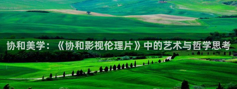 保利影业投资的电影：协和美学：《协和影视伦理片》中的艺术与哲学思考