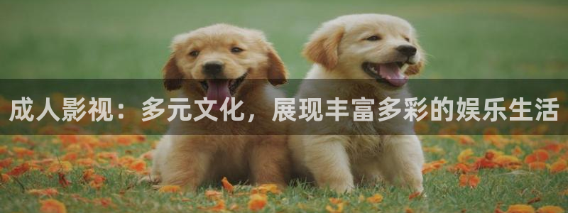 保利万和影城在哪里：成人影视：多元文化，展现丰富多彩的娱乐生活